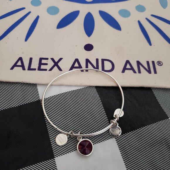 Alex and Ani Jewelry - Alex and Ani Purple gem Bracelet Bangle